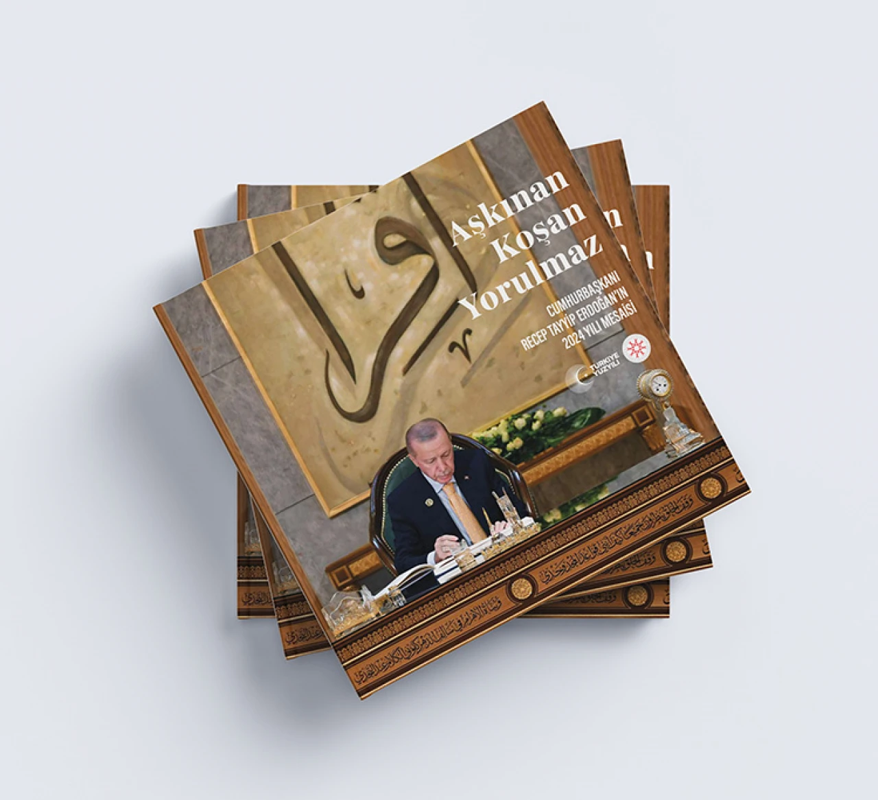 Erdoğan'ın 1 senesi kitap oldu