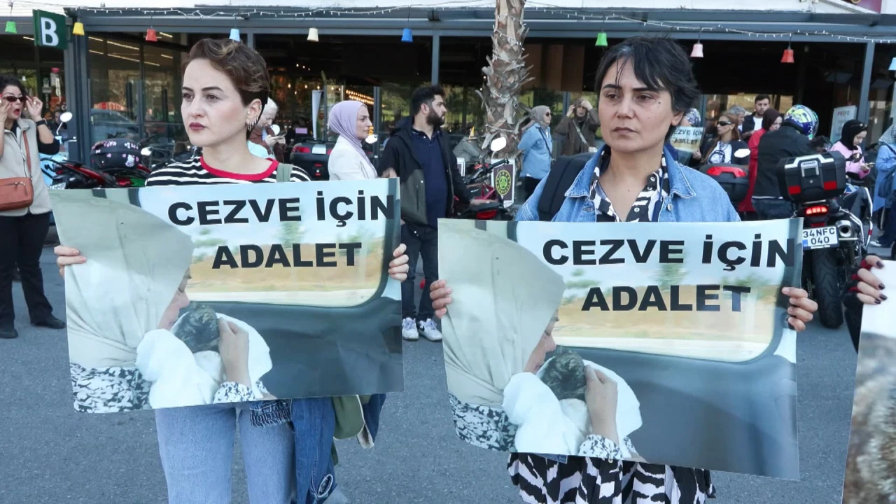 Kedi katiline 3 yıl hapis!