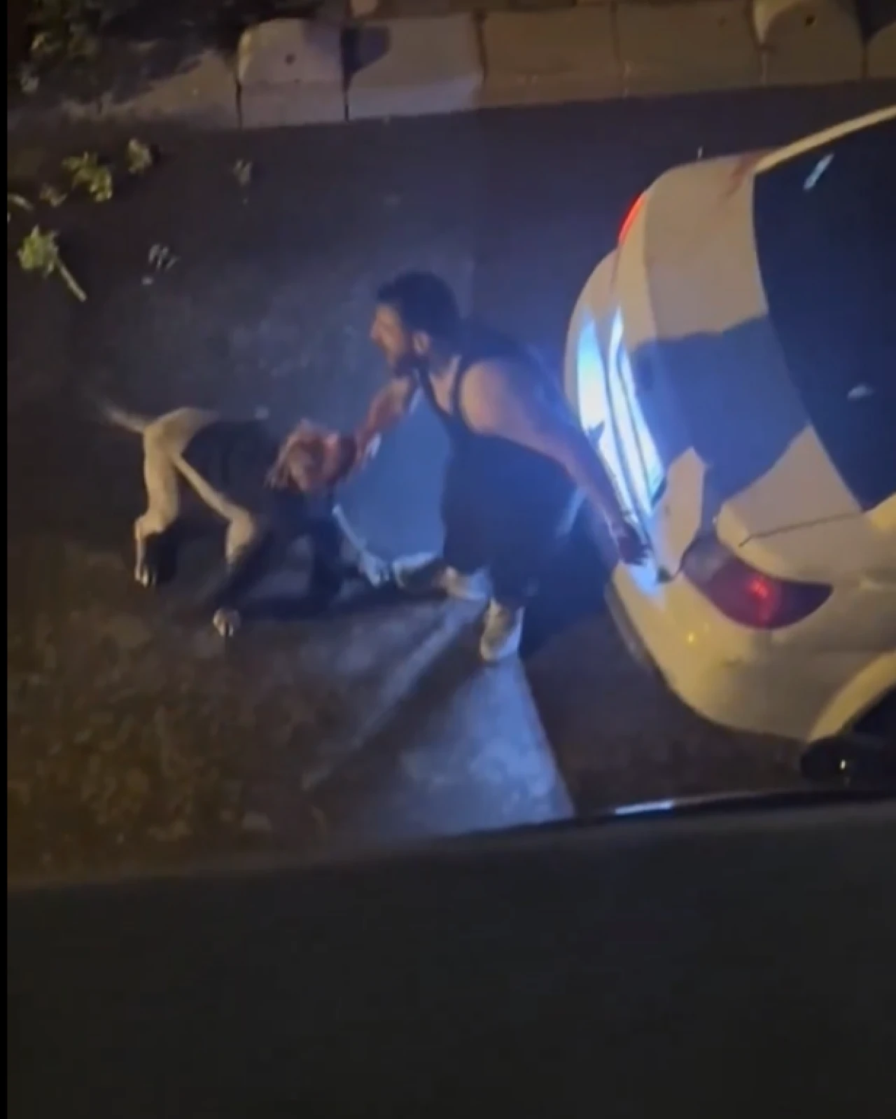 Bahçelievler'de korkunç Pitbull saldırısı!