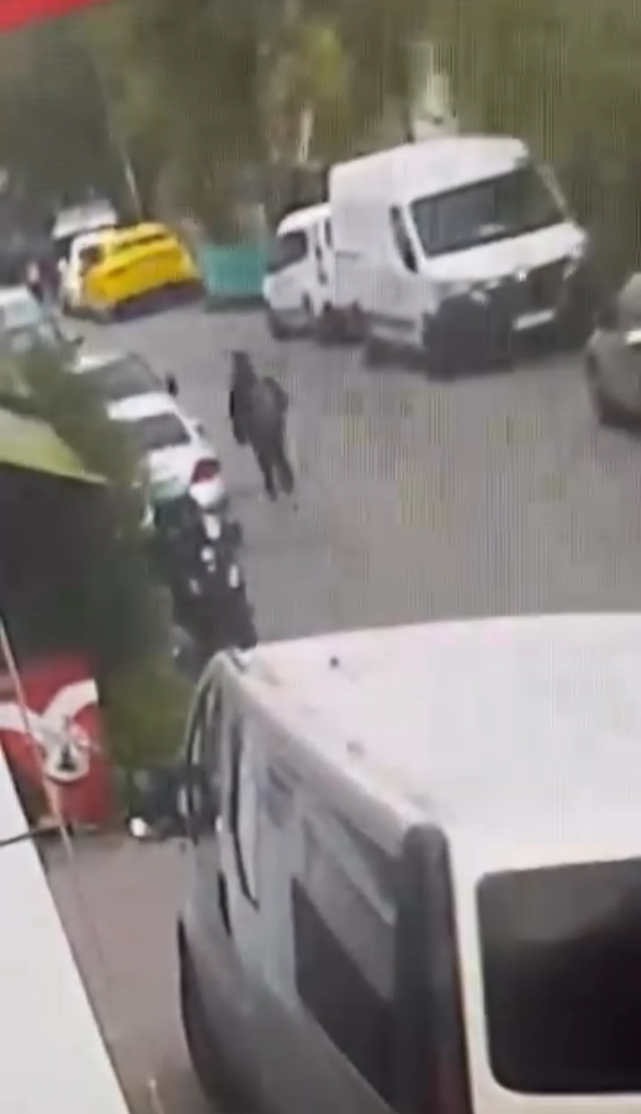 Bıçakladı serbest kaldı!