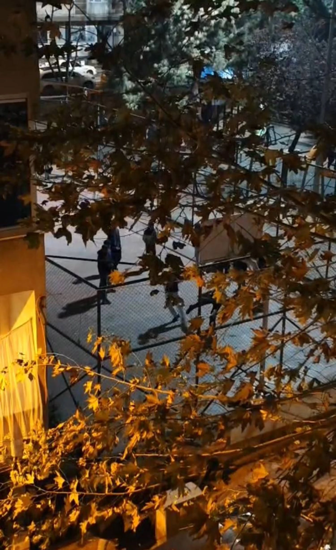 Parkta iğrenç kavga! Ayırmak yerine tezahüratta bulundular!