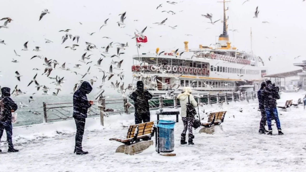 İstanbul'da beyaz mücadele