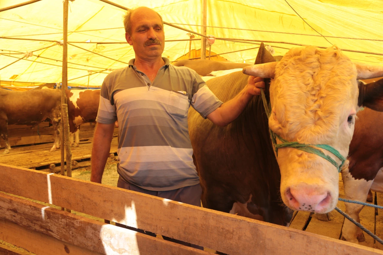3 milyon 350 bin kurban kesilecek