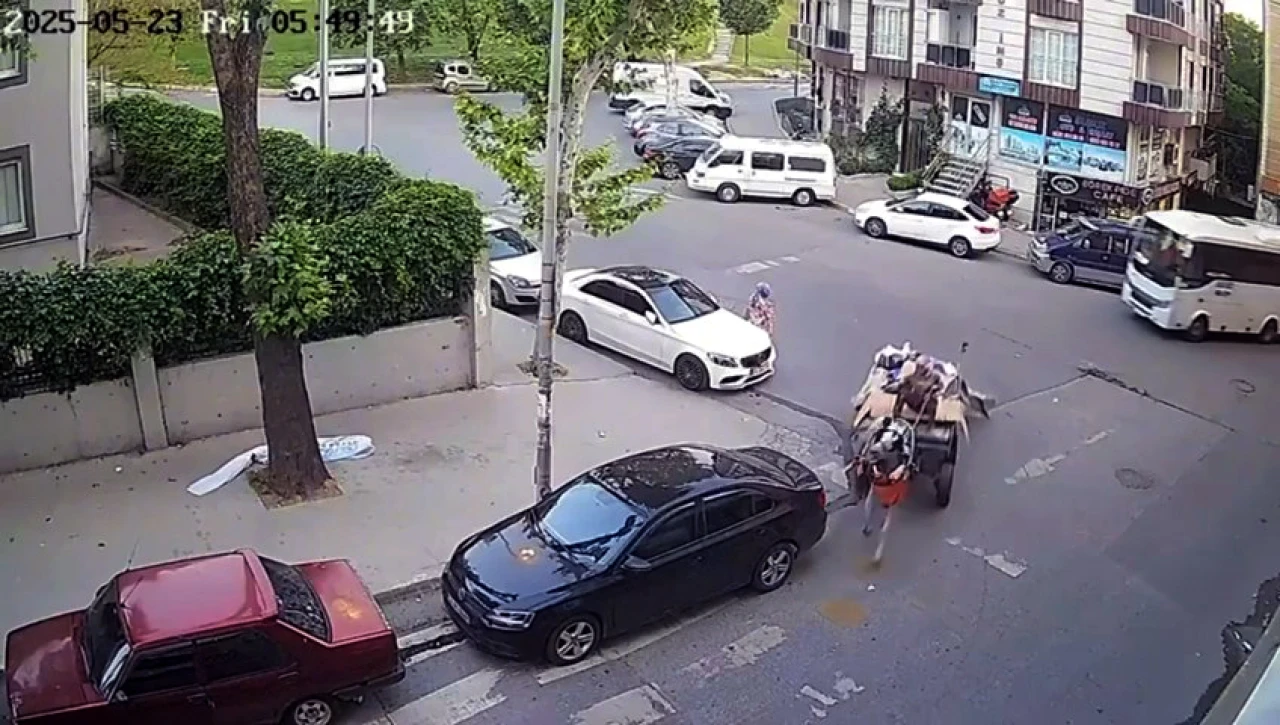 Esenyurt'ta at arabası kazaya karıştı