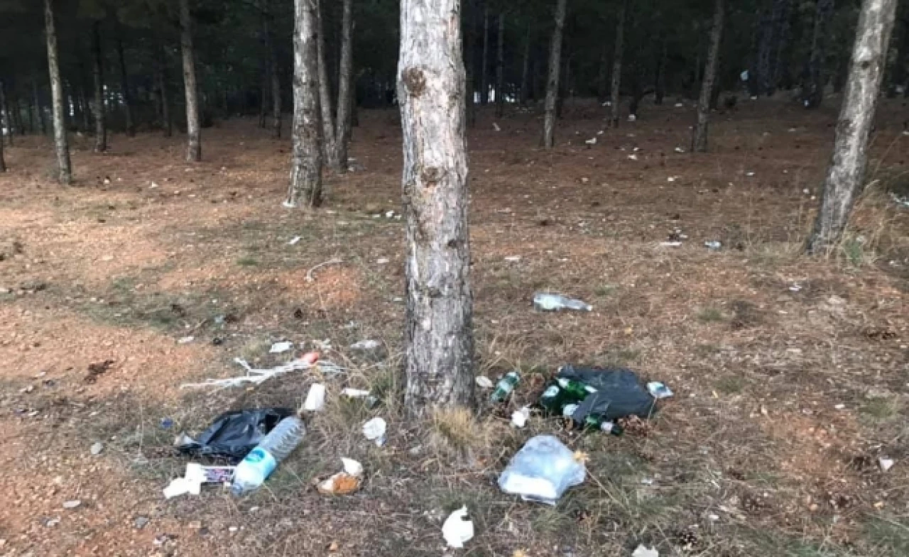 Çatalca ormanları alarm veriyor