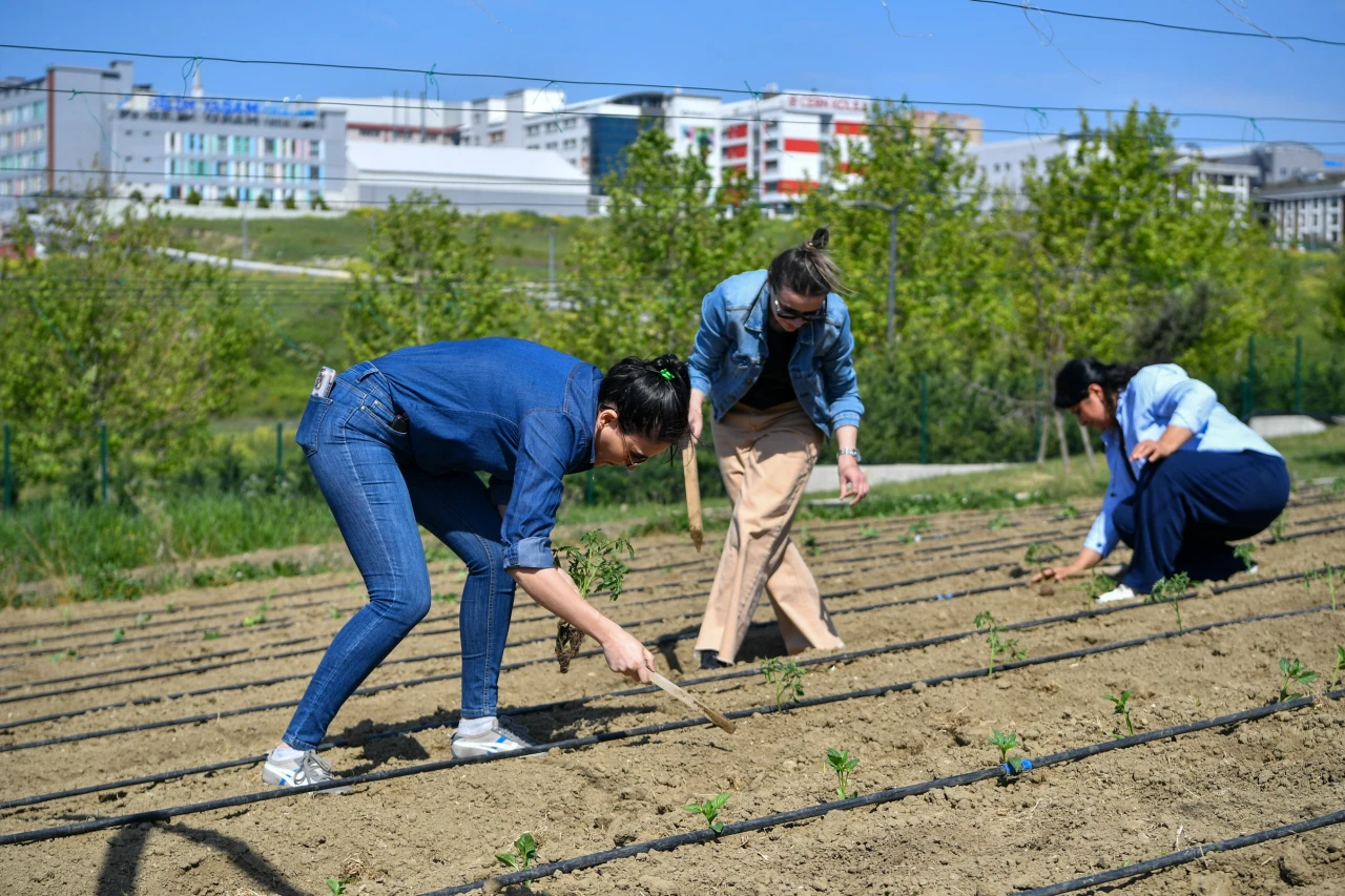 Yaşam Bahçesi'nde 5 yılda 450 ton mahsul