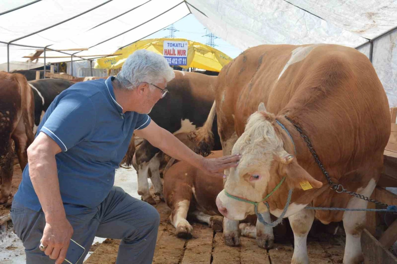 Alıcı fiyata satıcı maliyete bakıyor