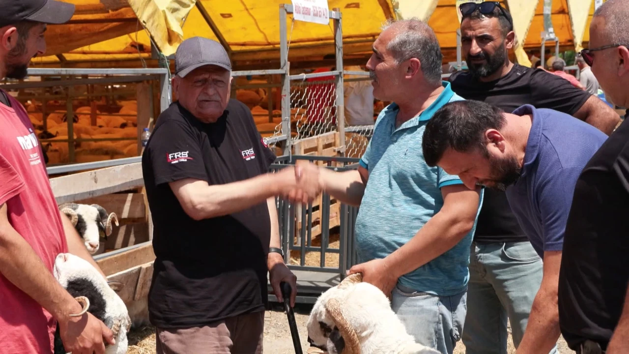 Kurban Bayramına 2 gün kala hayvan pazarlarında hareketlilik devam ediyor