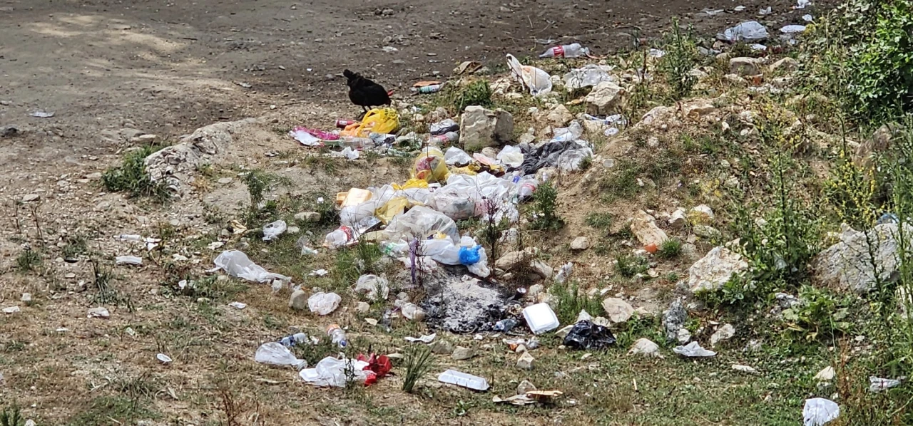 Piknik değil rezalet!