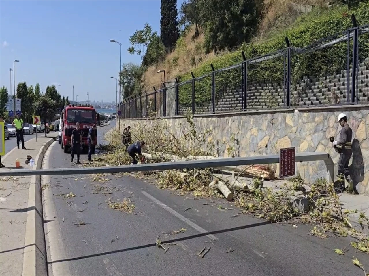 Üsküdar'da ağaç otomobilin üzerine devrildi