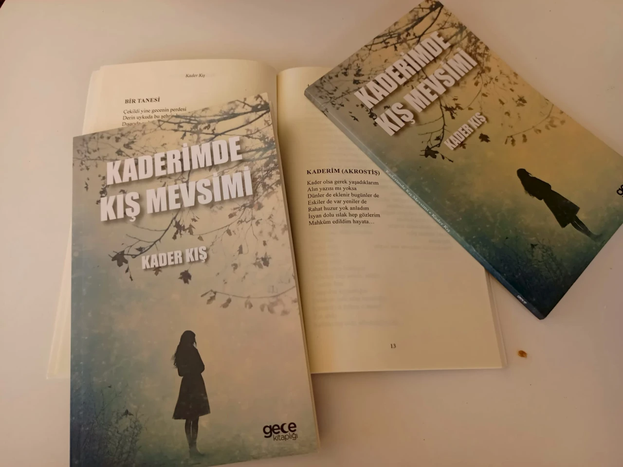 Kader Kış okuyucularıyla buluşuyor
