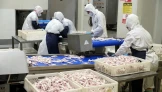 Beyaz et sektöründe kayyumlar kaldırıldı!