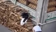 Küçükçekmece'de odunlu kavga!