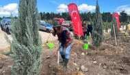 Rumeli Üniversitesi'nde ağaçlandırma seferberliği