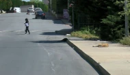 Zehra köpeklerden son anda kurtuldu!