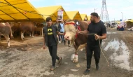 Şampiyon'u satmaktan vazgeçti!