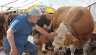 Alıcı fiyata satıcı maliyete bakıyor