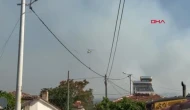 Tekirdağ'daki orman yangını 2'nci gününde