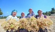 Mersin Büyükşehir İle Atalık Tohumlar Geleceğe Taşınıyor