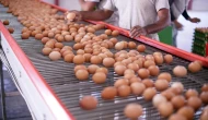 TÜİK açıkladı: Yumurta üretiminde azalma var