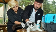 Esenyurt'ta kedi köpek sahipsiz!