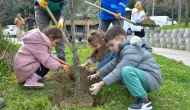 Esenyurtlu minikler ağaç dikti