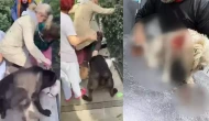 Banu Parlak’ın komşusunun köpeği Leo'nun ölümüne ilişkin davada ilk duruşma