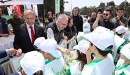 İstanbul'da ormanlar temizlendi