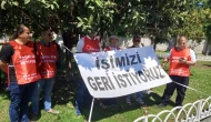 Ağaç AŞ işçileri işini istiyor
