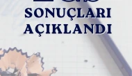 LGS kapsamındaki merkezi sınav sonuçları açıklandı