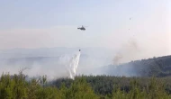 Çanakkale'deki orman yangınında 8 hektar alan zarar gördü