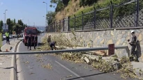 Üsküdar'da ağaç otomobilin üzerine devrildi