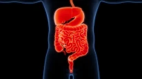 Hastalıklar bağırsaklarda başlıyor