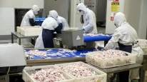 Beyaz et sektöründe kayyumlar kaldırıldı!