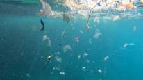 Akdeniz'deki mikroplastik sorunu çözülmezse turizm sekteye uğrar