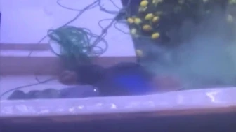 İstanbul Boğazı'nda bir adam denize düştü!