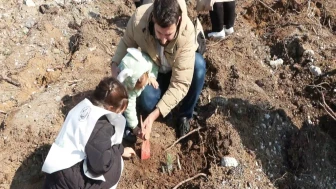 İstanbul'da Gazze Hayat Ormanı’na 10 bin fidan dikildi