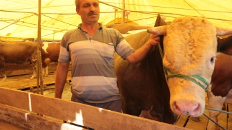 3 milyon 350 bin kurban kesilecek