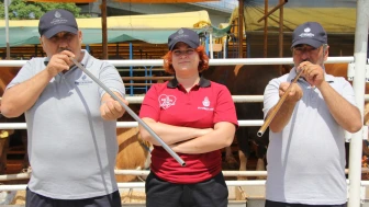 İBB Boğa Timi kurdu