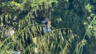 Arnavutköy'de mezarlıkta erkek bebek cesedi bulundu