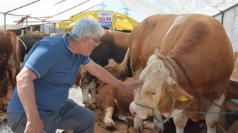 Alıcı fiyata satıcı maliyete bakıyor