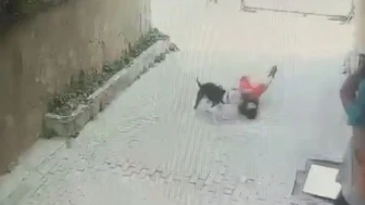 Ataşehir’de Pitbull 7 yaşındaki çocuğa saldırdı!