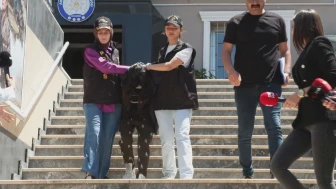 Beşiktaş'ta arkadaşını öldürüp, Kocaeli'de polise teslim oldu