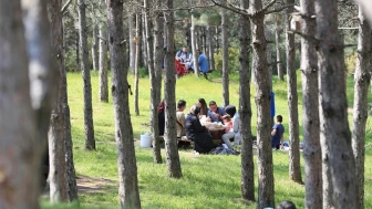 İstanbul'da ormanlara girmek yasak!