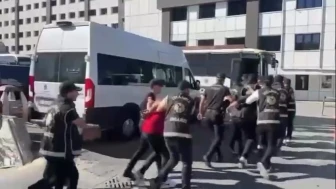 Suç örgütlerine ağır darbe