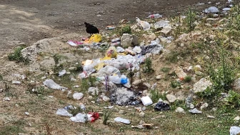 Piknik değil rezalet!