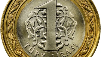 Hatalı basılan 1 tl servet değerinde