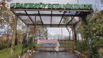 Bakırköy Botanik Park'ta neler oluyor?