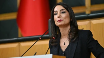 Bu dil barış getirmez!