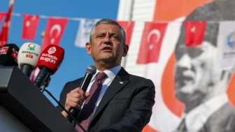 Demokrat nasıl belli olur?